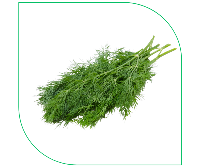 KOPEREK (SZT)