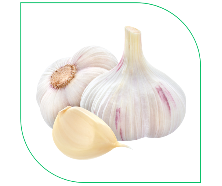 GARLIC (PCS)